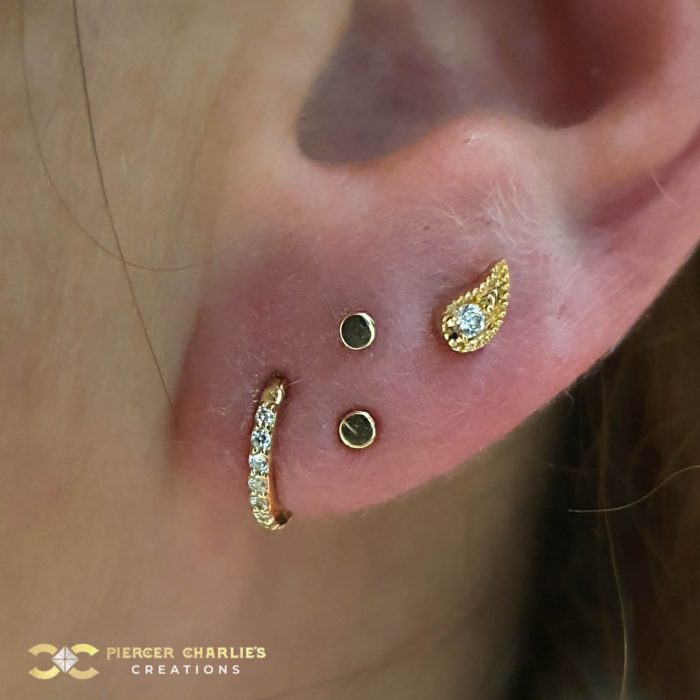Gold Lobe Project