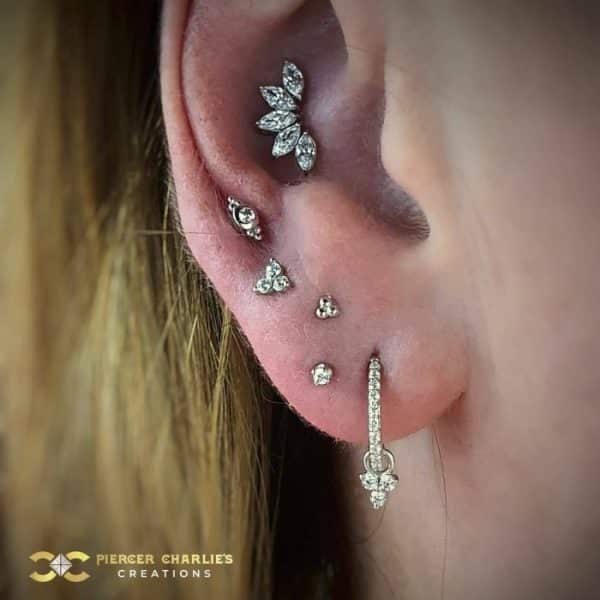 Beautiful White Lobe Project