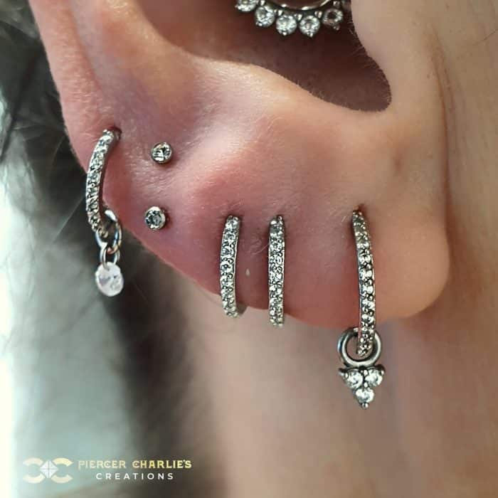 Super Sparkly Lobe Curation