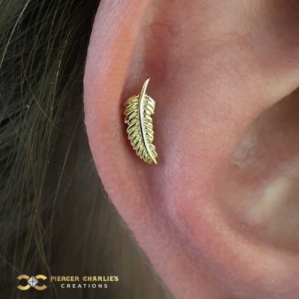 Junipurr Feather on the Helix
