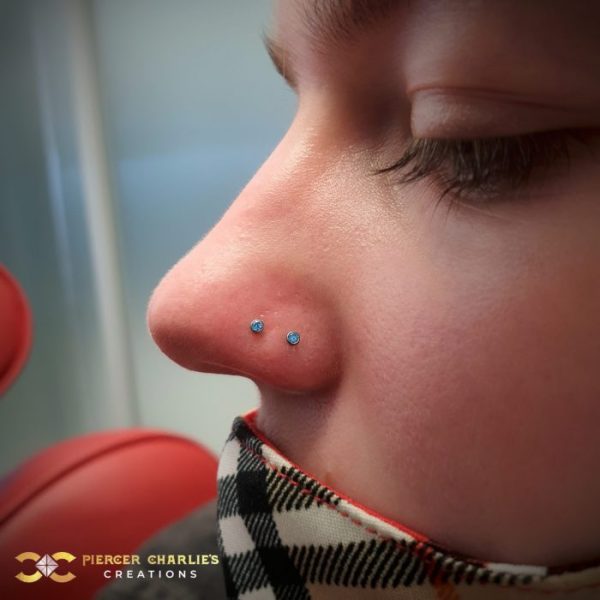 Double Nostril with Swarovski Zirconia