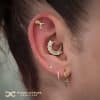 BVLA Humming Bird and Stunning Daith Baguette Fan