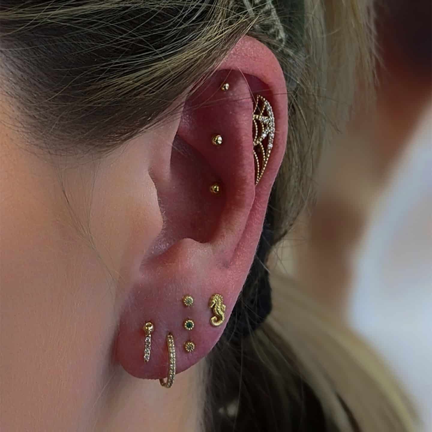 BVLA Charlotte's Web on a Helix Piercing, Piercing